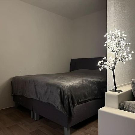 Ferienwohnung Wohnung Innenstadt Am Burgsee 바트살준겐 외부 사진